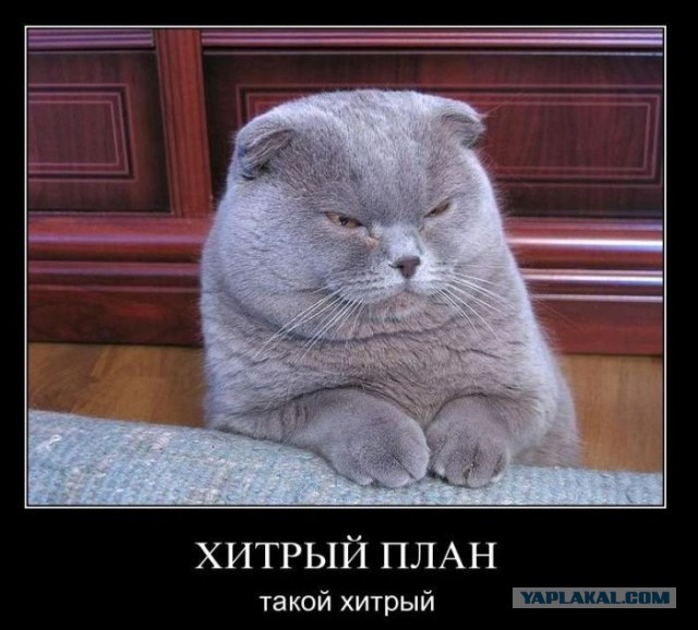 Многодетная мать отвлеклась на пару минут и потеряла любимую дочь.