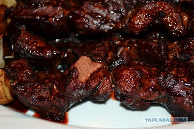 Электрошашлык party