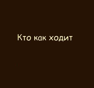 Фотожаба: Кто как ходит