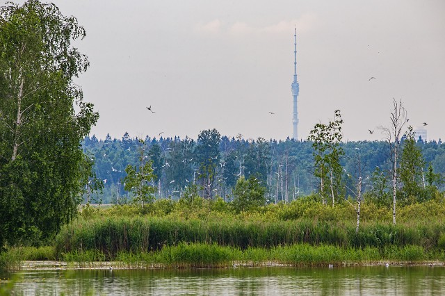 Останкинская башня