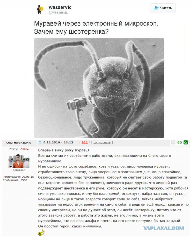 Зачем ему шестеренка?