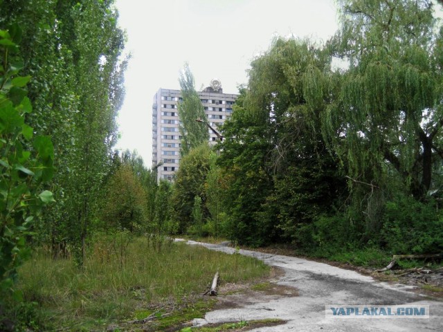 Моя поездка в Чернобыль