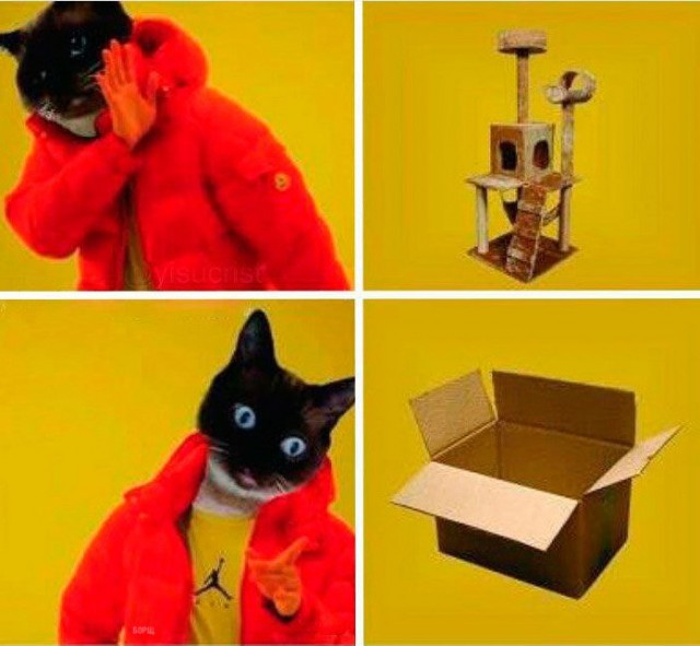 Коты из сети