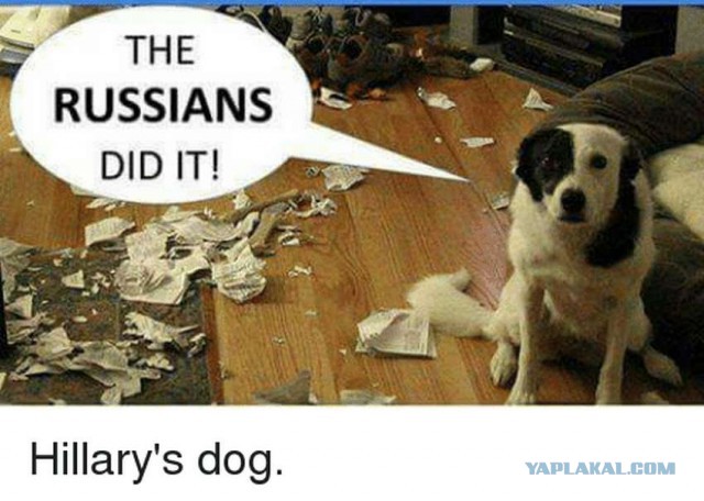 Путин глазами ЦРУ