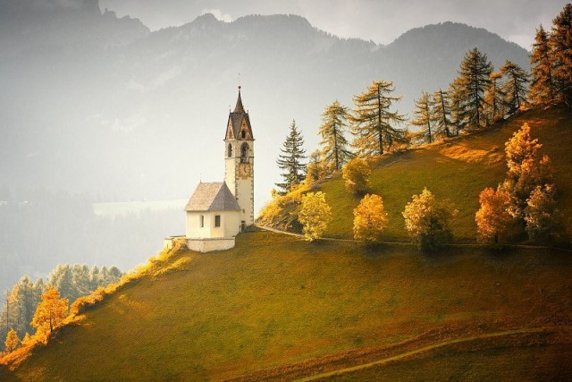 Моменты, запечатлённые на фото и просто позитив 5