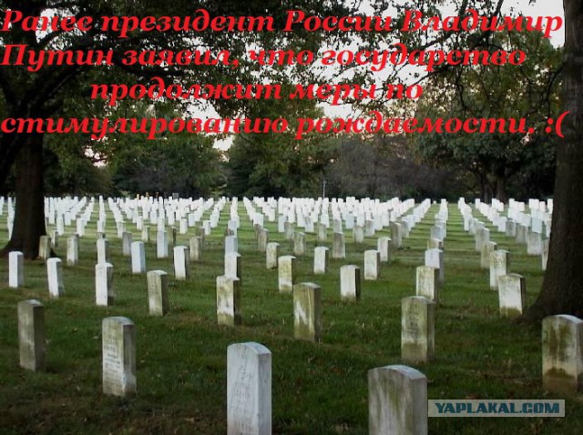 В России прорабатывают новые меры стимулирования рождаемости