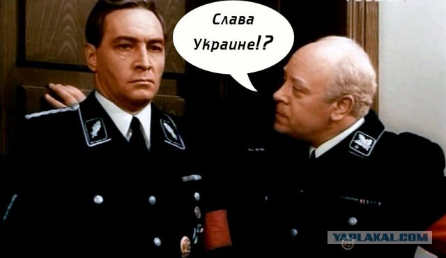 Порошенко подписал указ о блокировке на Украине «Яндекса», «ВКонтакте» и «Одноклассников»