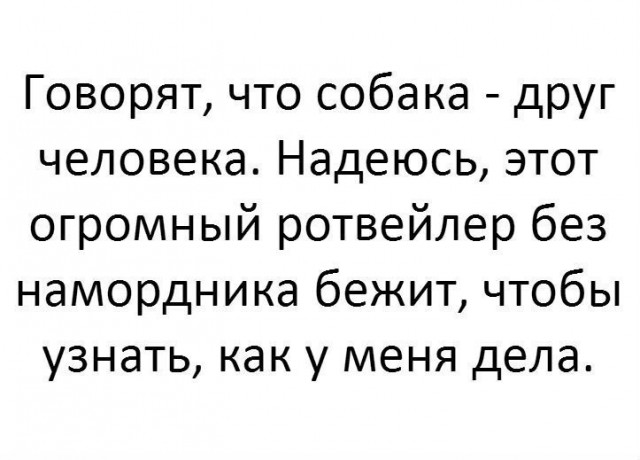 Всё как и всегда в точку...