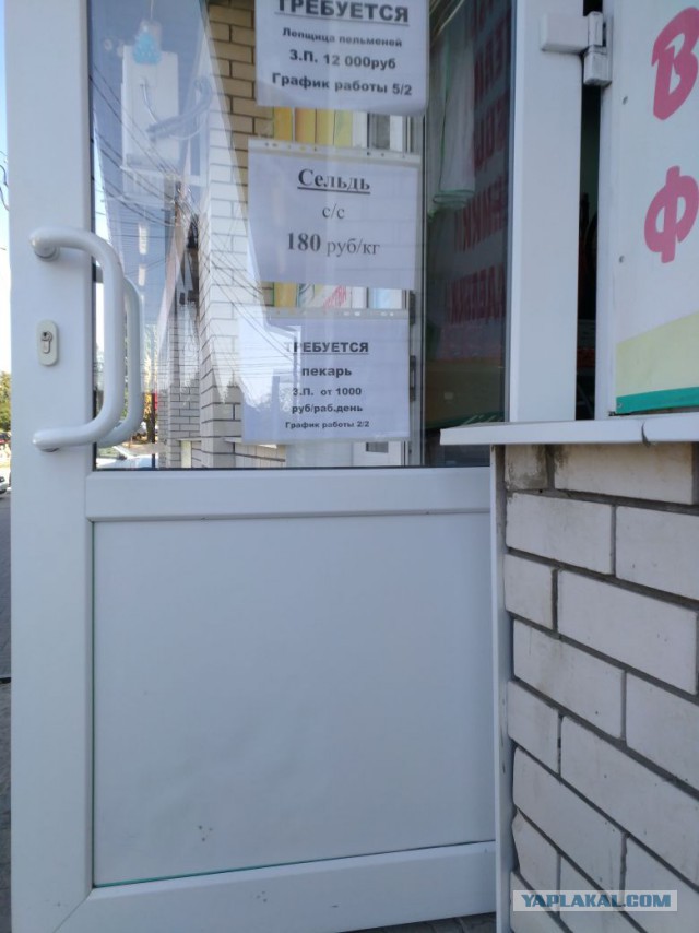Сегодня видела листочки с зарплатой