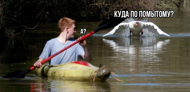 Тупанём?