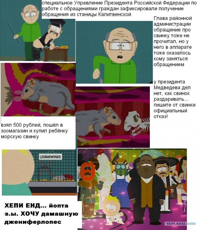 Просьба к Президенту
