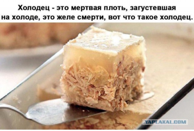 Звезданутые защитники животных