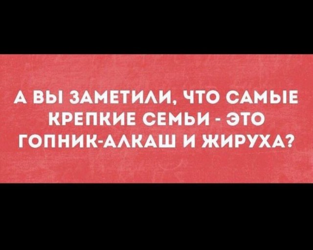 Скотсети и прочие интернеты 12.02.18