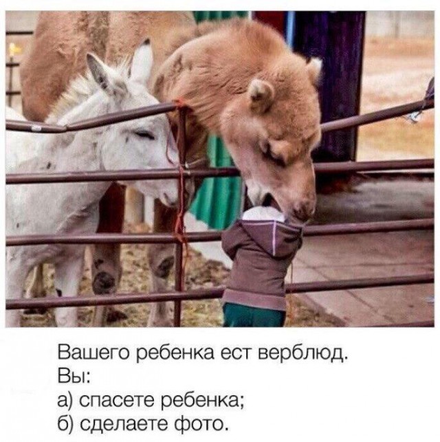 Нестандартный юмор