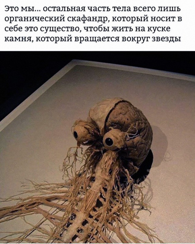 Нестандартный юмор
