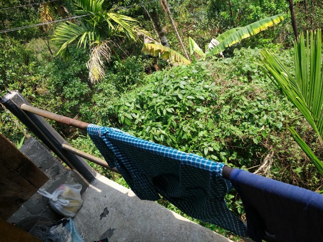 К живым мостам и обратно. Заметки из Индии