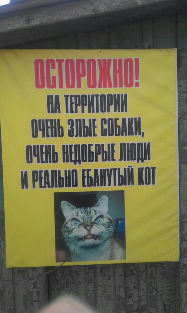Прикольные надписи и объявления