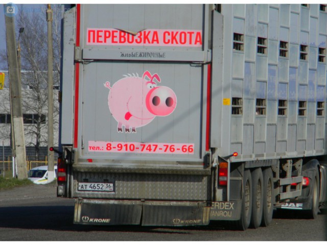 Поиграем в циферки?