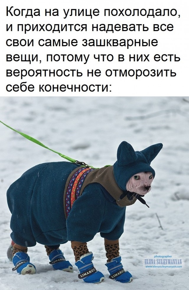 Нестандартный юмор