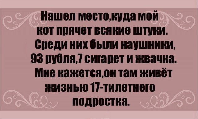 Анекдоты, истории и картинки с надписями