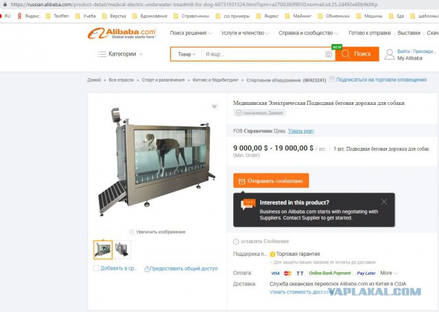 Успешный российский фотограф бросила работу и теперь живёт за городом с сотнями больных животных