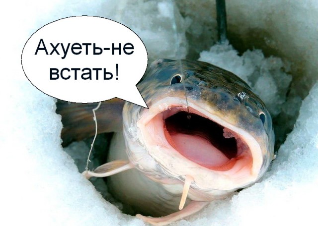 Настоящим женщинам трусы не нужны!