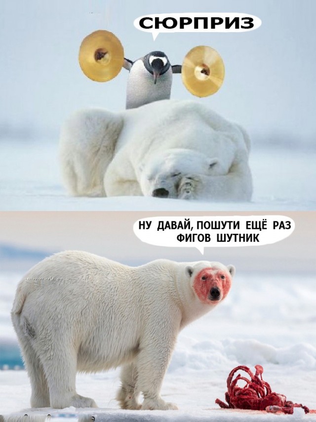 Чуток картинок! 03.01.20