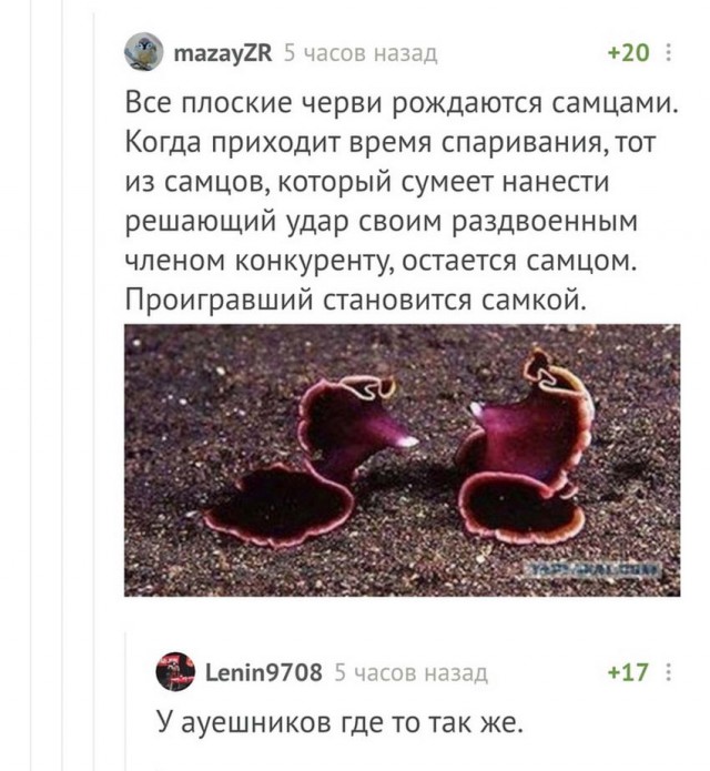 Бредзона 24.02.20
