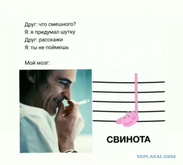 Фотки и картинки: юморные и красивые, забавные и милые 21.09.20