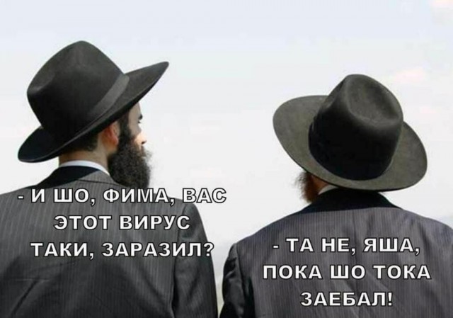 Бредзона 08.12.2020