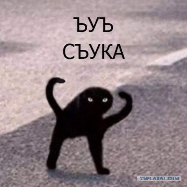 Я не хочу один это напевать! Теперь мучайтесь вместе со мной!