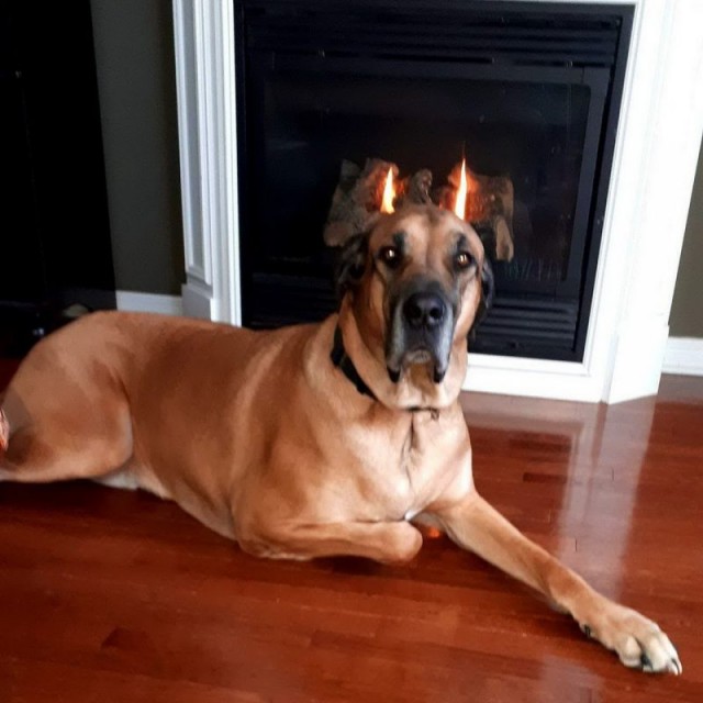 Удачный кадр. Фотопост