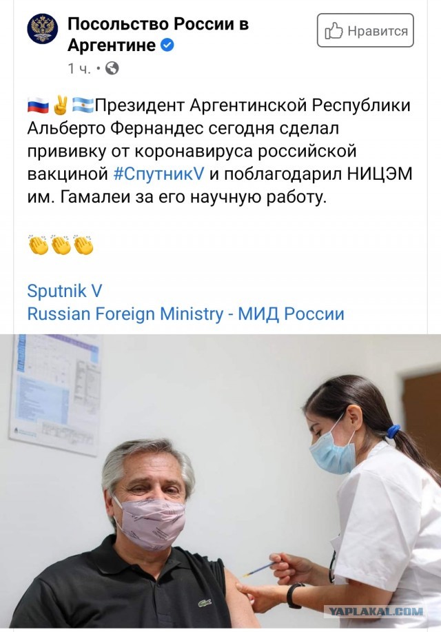 Пандемия. Коронавирус. Россия и мир. Последняя информация. Часть 20