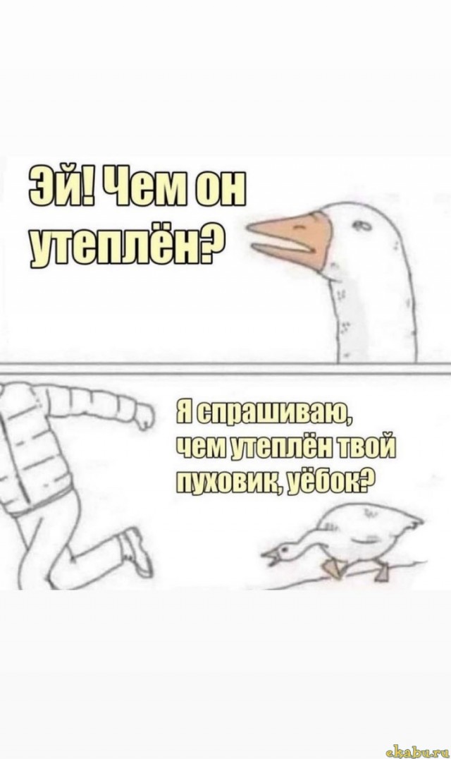 Бредзона 04.02.21