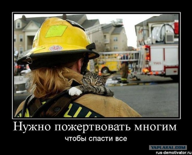Спасение котейки...