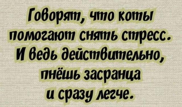 Боян на Бояне...