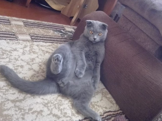 Вторник жеш!