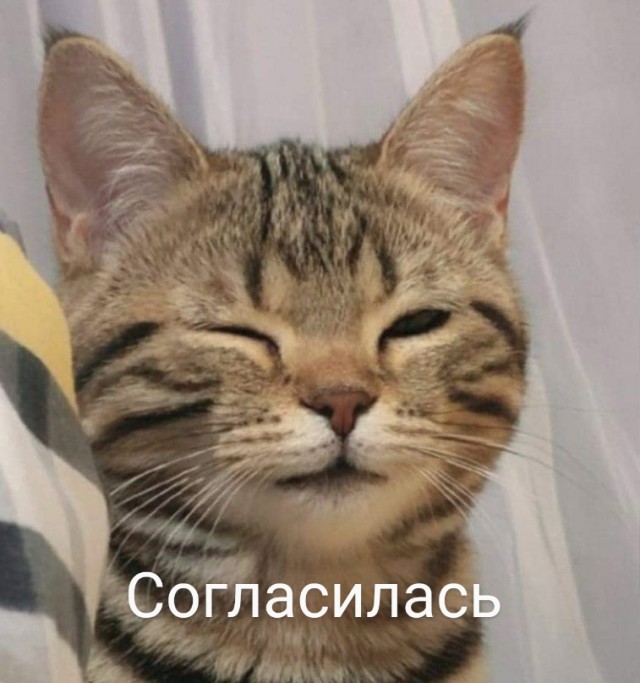 Картинки и мемы для настроения