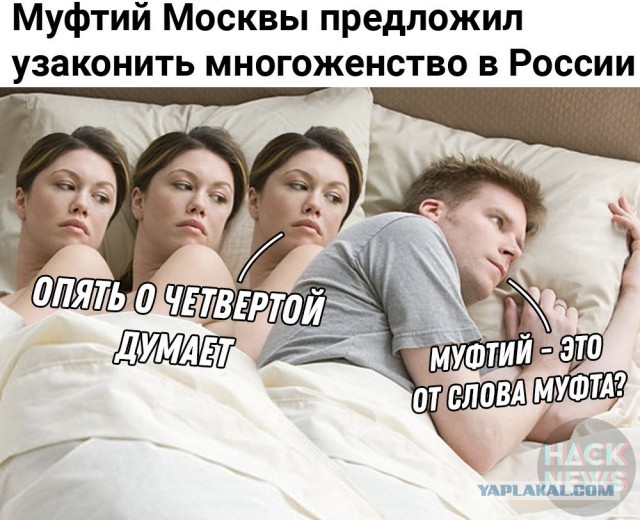 Оцените моральный уровень зама муфтия Чечни