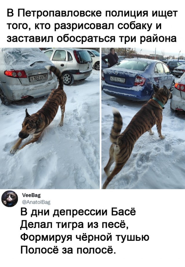 Чуток картинок 12.01.2022