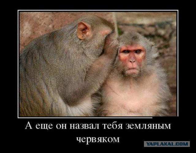 Чем богаче жирует Москва, тем больше крошек под столом для регионов
