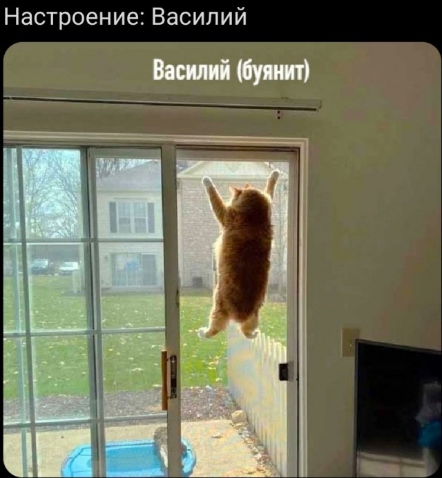 Картинки для настроения с надписями и без