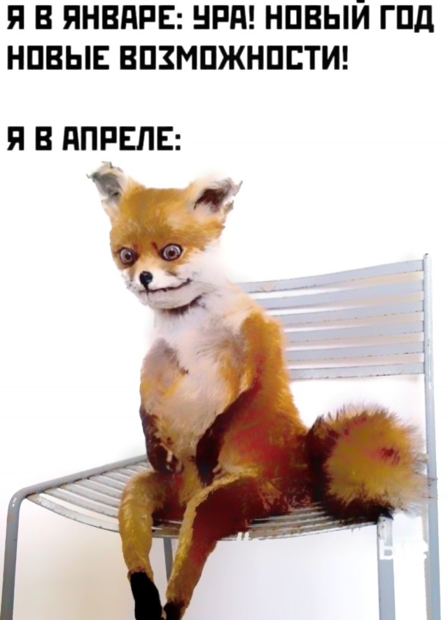 Пятница. Вечер. Картинки всякие... #3