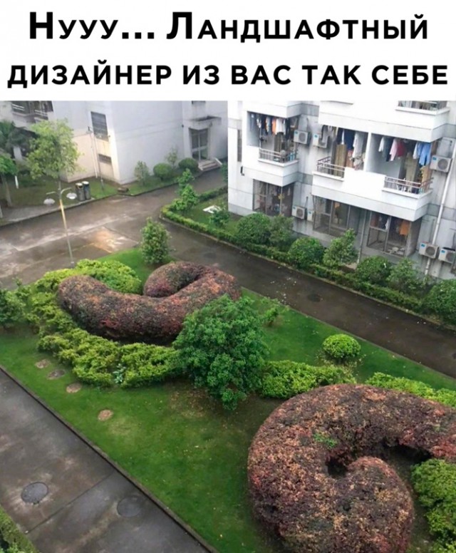 Картинки и мемы для настроения - 15