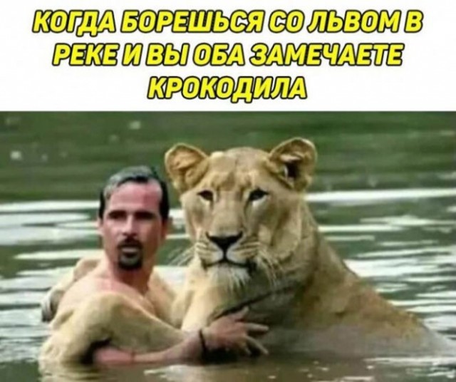 Пандемия съехавших крыш - разновидности болезни. Россия и мир. Часть 38