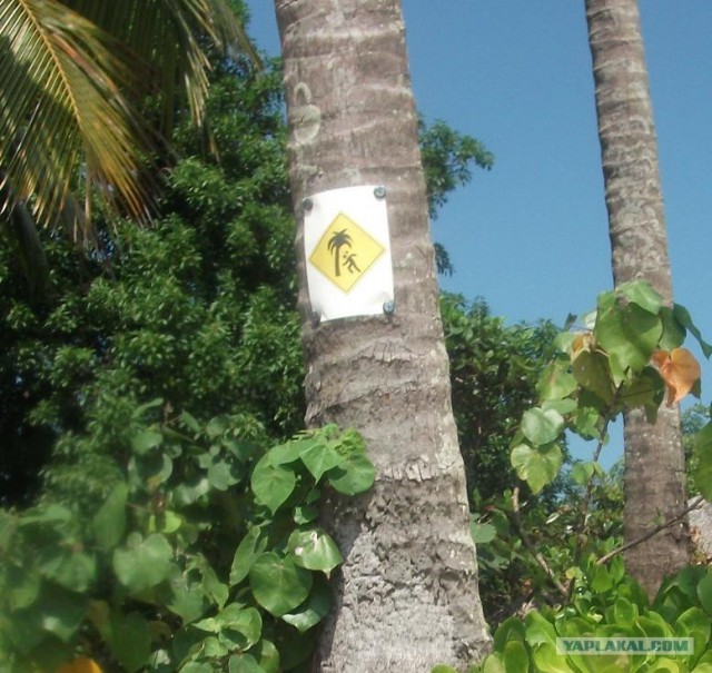 Путешествие в Таиланд.