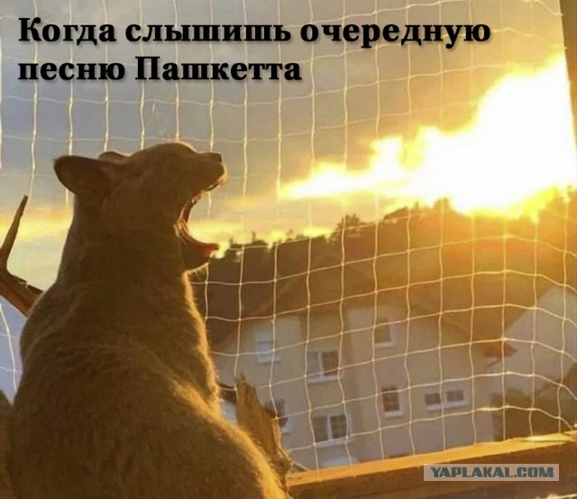 Озабоченным моим достоинством эта тема..(Пашкетт)