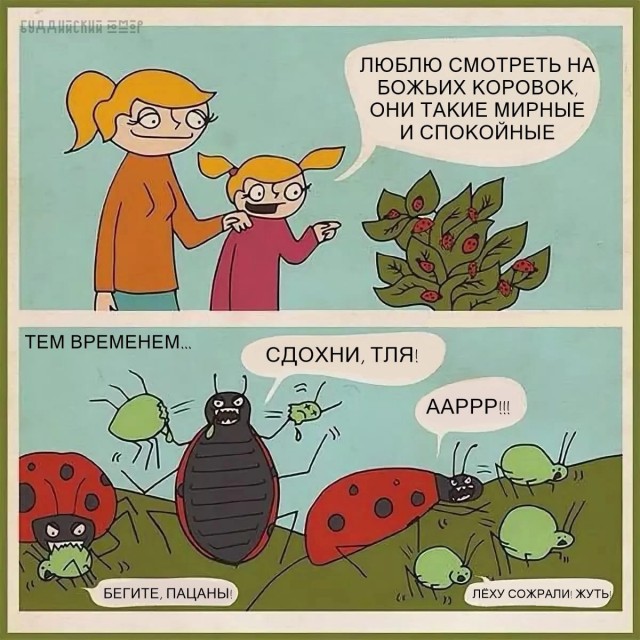 Красное на Чёрном "X" (Икс)