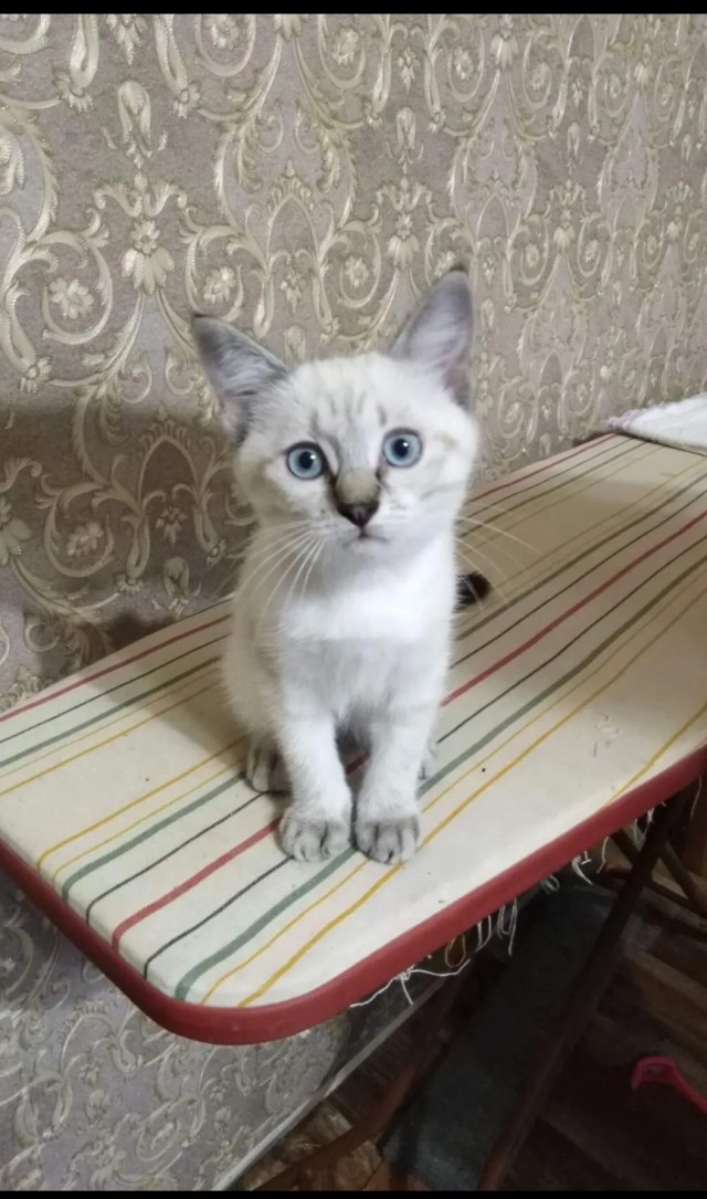 Вернулась