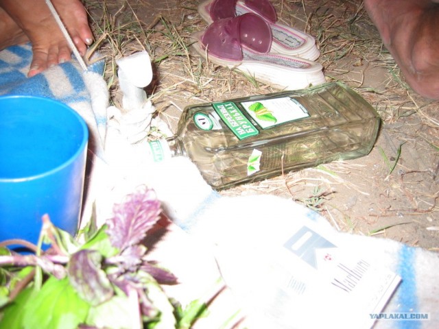 Хороший отдых